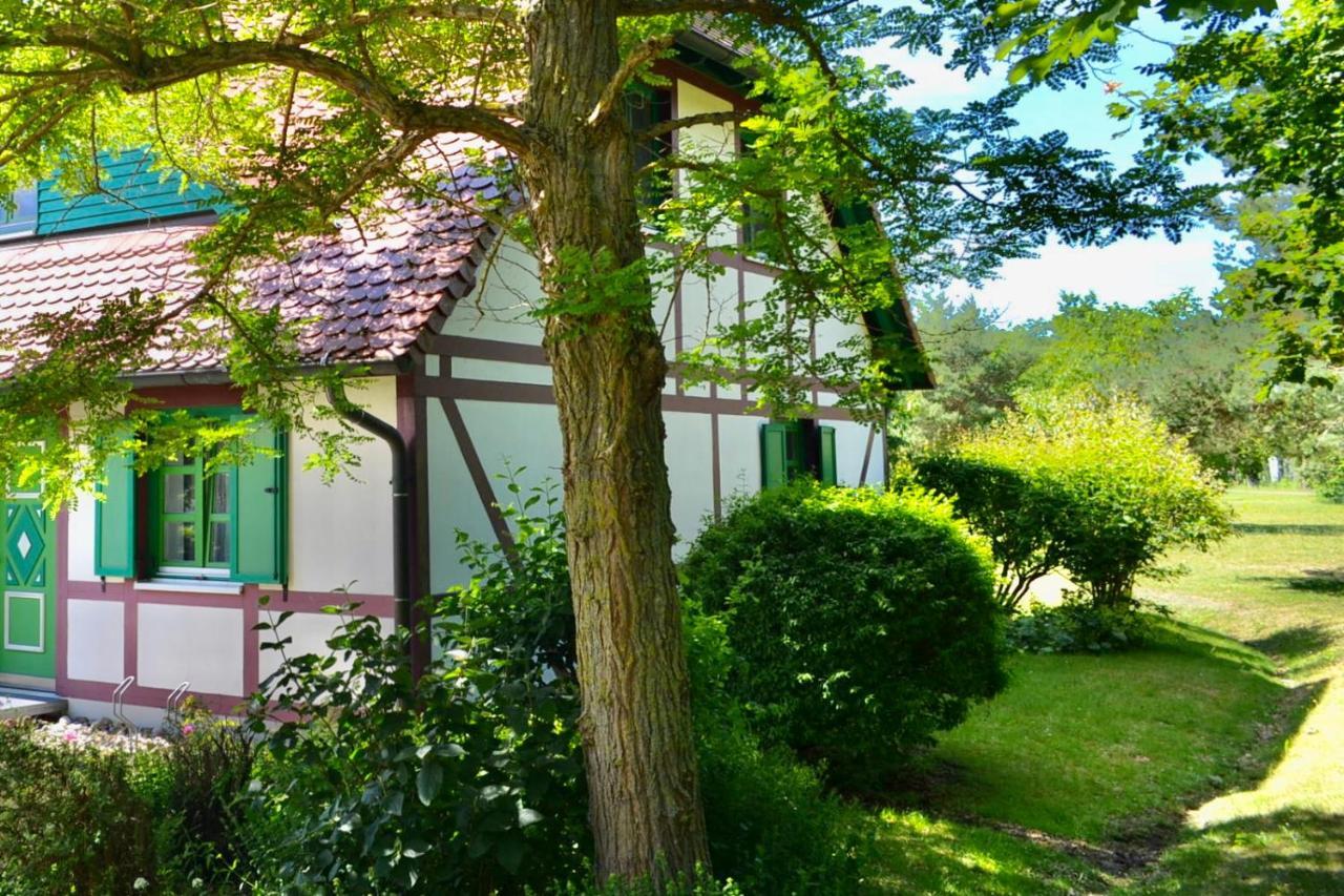 Strandnahe Ferienwohnung Ruegen Дранске Экстерьер фото