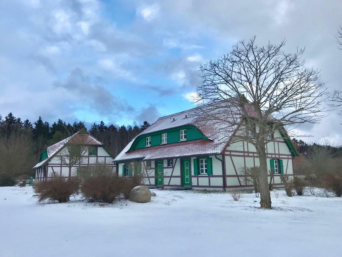 Strandnahe Ferienwohnung Ruegen Дранске Экстерьер фото